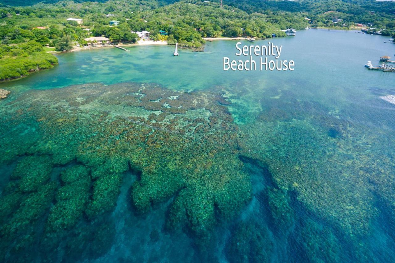 Serenity Beach Home West End Εξωτερικό φωτογραφία